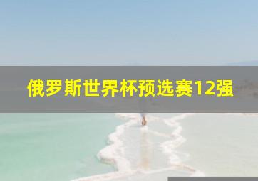 俄罗斯世界杯预选赛12强