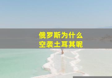 俄罗斯为什么空袭土耳其呢