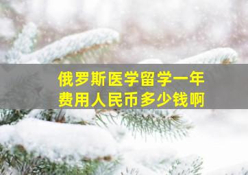 俄罗斯医学留学一年费用人民币多少钱啊