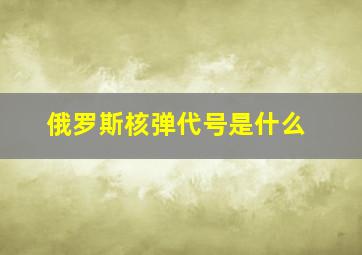 俄罗斯核弹代号是什么