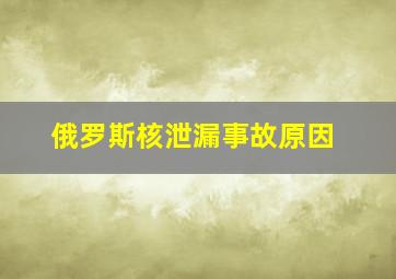 俄罗斯核泄漏事故原因