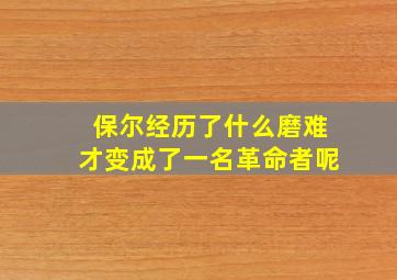 保尔经历了什么磨难才变成了一名革命者呢