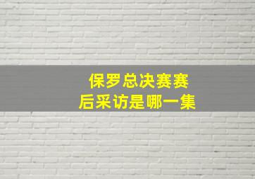 保罗总决赛赛后采访是哪一集