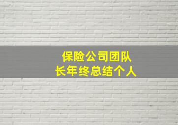 保险公司团队长年终总结个人