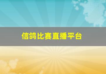 信鸽比赛直播平台