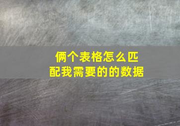 俩个表格怎么匹配我需要的的数据