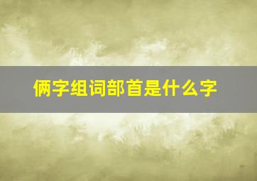 俩字组词部首是什么字