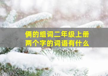 俩的组词二年级上册两个字的词语有什么