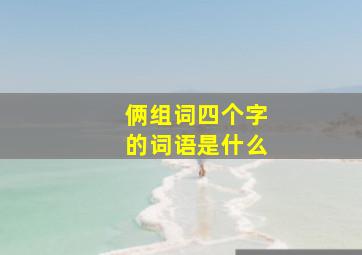 俩组词四个字的词语是什么