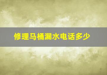 修理马桶漏水电话多少