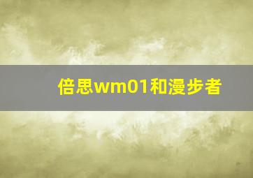 倍思wm01和漫步者