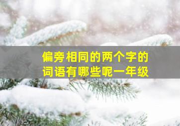 偏旁相同的两个字的词语有哪些呢一年级