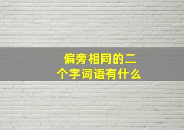 偏旁相同的二个字词语有什么