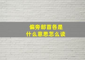 偏旁部首各是什么意思怎么读