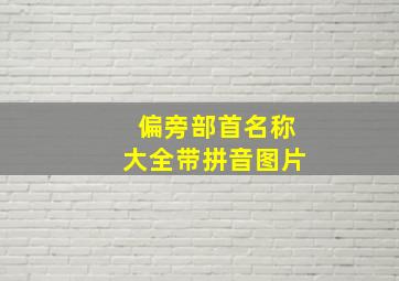 偏旁部首名称大全带拼音图片