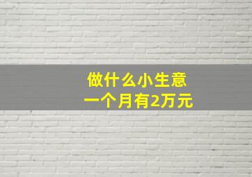 做什么小生意一个月有2万元