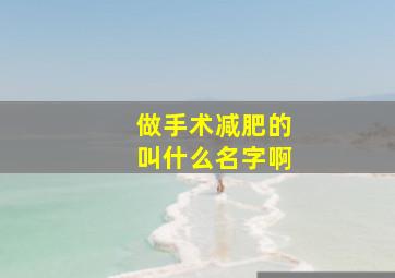 做手术减肥的叫什么名字啊