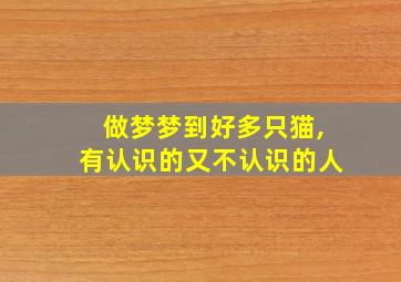 做梦梦到好多只猫,有认识的又不认识的人