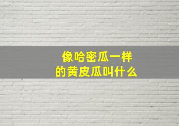 像哈密瓜一样的黄皮瓜叫什么