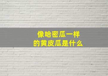 像哈密瓜一样的黄皮瓜是什么