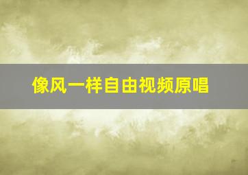 像风一样自由视频原唱