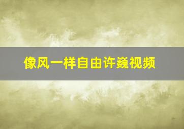 像风一样自由许巍视频