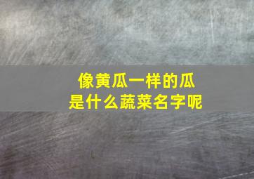 像黄瓜一样的瓜是什么蔬菜名字呢