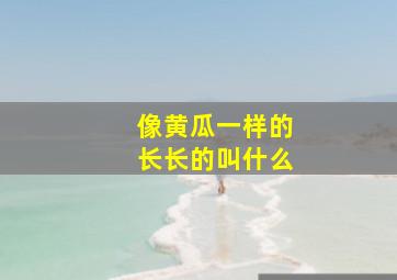 像黄瓜一样的长长的叫什么