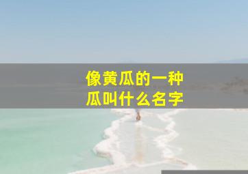 像黄瓜的一种瓜叫什么名字