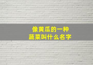 像黄瓜的一种蔬菜叫什么名字