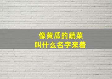 像黄瓜的蔬菜叫什么名字来着