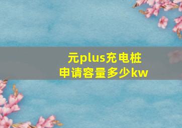 元plus充电桩申请容量多少kw