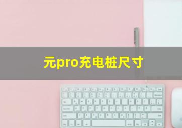 元pro充电桩尺寸