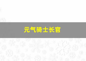 元气骑士长官