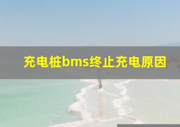 充电桩bms终止充电原因