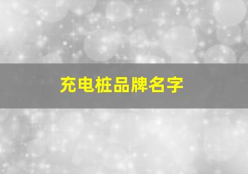 充电桩品牌名字