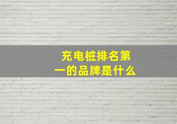 充电桩排名第一的品牌是什么