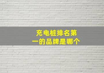 充电桩排名第一的品牌是哪个