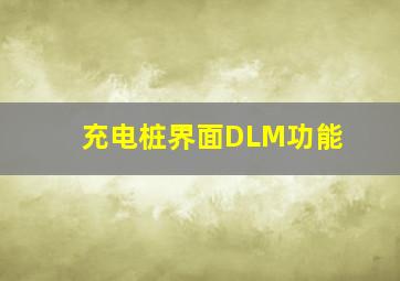 充电桩界面DLM功能