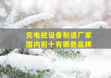 充电桩设备制造厂家国内前十有哪些品牌