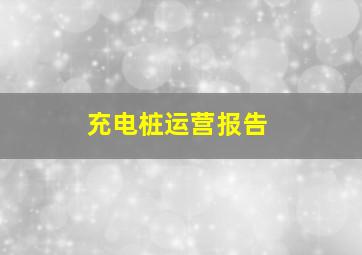 充电桩运营报告