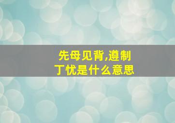 先母见背,遵制丁忧是什么意思