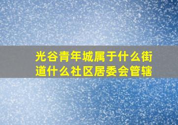 光谷青年城属于什么街道什么社区居委会管辖