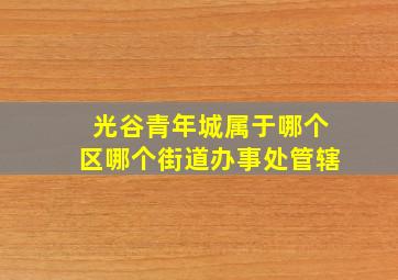 光谷青年城属于哪个区哪个街道办事处管辖