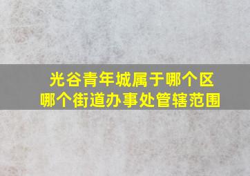 光谷青年城属于哪个区哪个街道办事处管辖范围