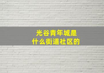 光谷青年城是什么街道社区的