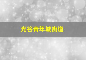 光谷青年城街道