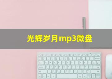 光辉岁月mp3微盘