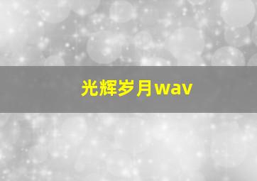 光辉岁月wav