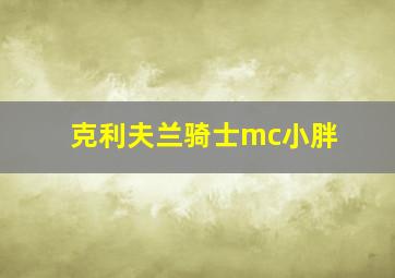 克利夫兰骑士mc小胖